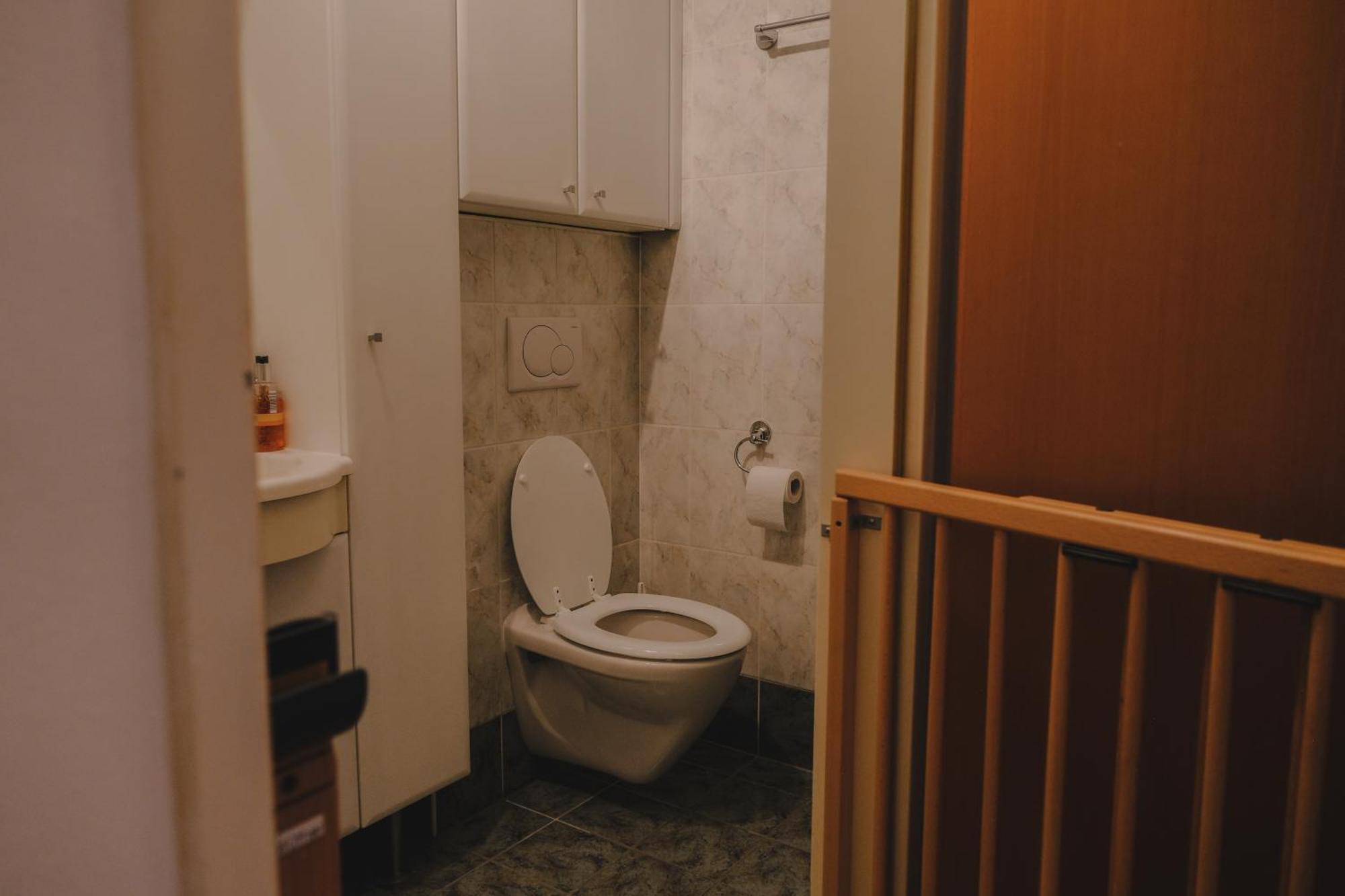 Terrace Apartment Near Volksoper And City Centre Wien Ngoại thất bức ảnh